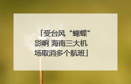 受台风“蝴蝶”影响 海南三大机场取消多个航班