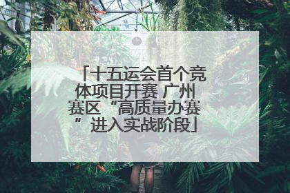 十五运会首个竞体项目开赛 广州赛区“高质量办赛”进入实战阶段