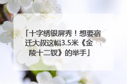 十字绣银屏秀！想要宿迁大叔这幅3.5米《金陵十二钗》的举手