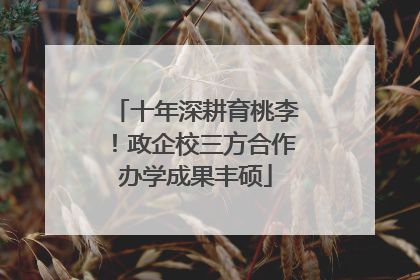 十年深耕育桃李！政企校三方合作办学成果丰硕