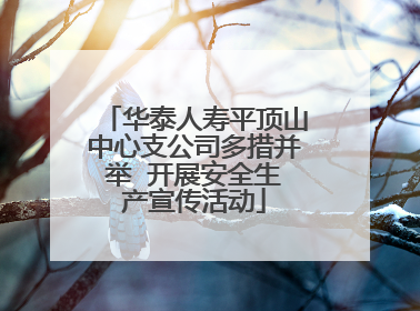 华泰人寿平顶山中心支公司多措并举  开展安全生产宣传活动