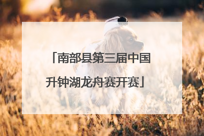 南部县第三届中国升钟湖龙舟赛开赛