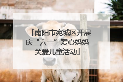 南阳市宛城区开展庆“六一”爱心妈妈关爱儿童活动