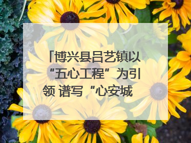 博兴县吕艺镇以“五心工程”为引领 谱写“心安城市”建设新篇章