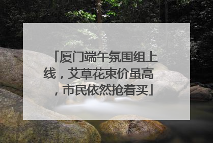 厦门端午氛围组上线，艾草花束价虽高，市民依然抢着买