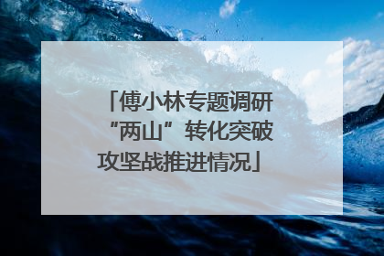 傅小林专题调研“两山”转化突破攻坚战推进情况