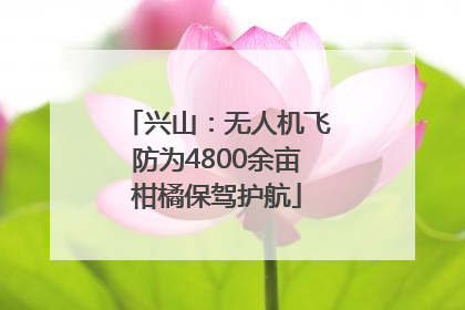 兴山：无人机飞防为4800余亩柑橘保驾护航