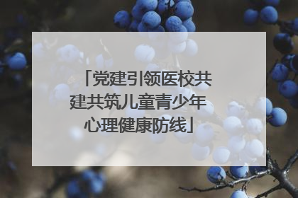 党建引领医校共建共筑儿童青少年心理健康防线