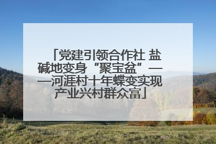 党建引领合作社 盐碱地变身“聚宝盆”——河涯村十年蝶变实现产业兴村群众富