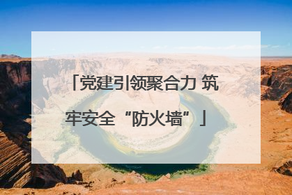 党建引领聚合力 筑牢安全“防火墙”