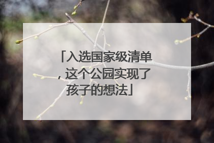 入选国家级清单，这个公园实现了孩子的想法