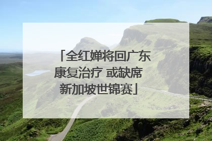 全红婵将回广东康复治疗 或缺席新加坡世锦赛