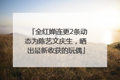 全红婵连更2条动态为陈艺文庆生，晒出最新收获的玩偶