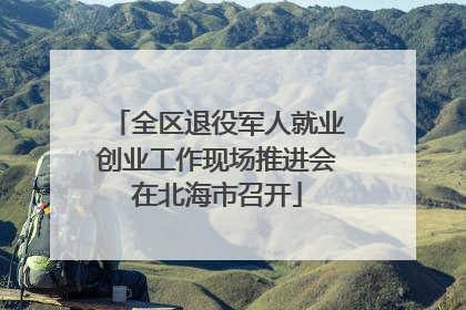 全区退役军人就业创业工作现场推进会在北海市召开