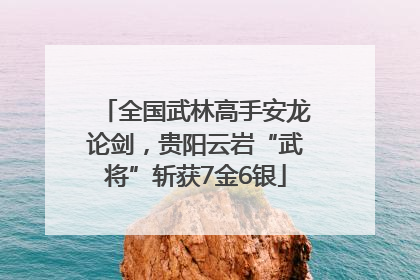 全国武林高手安龙论剑，贵阳云岩“武将”斩获7金6银