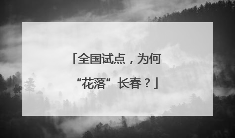 全国试点，为何“花落”长春？