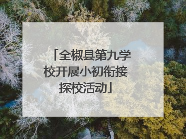 全椒县第九学校开展小初衔接探校活动