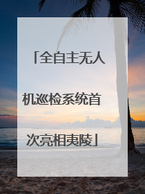 全自主无人机巡检系统首次亮相夷陵