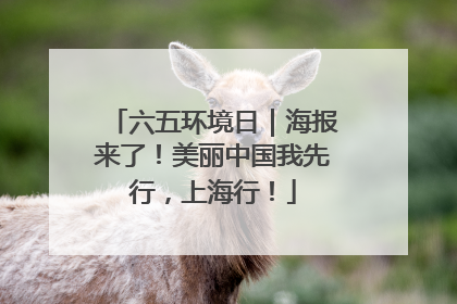 六五环境日｜海报来了！美丽中国我先行，上海行！