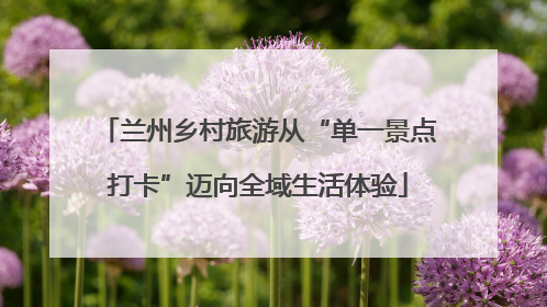 兰州乡村旅游从“单一景点打卡”迈向全域生活体验