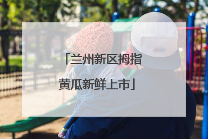 兰州新区拇指黄瓜新鲜上市