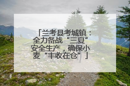 兰考县考城镇：全力备战“三夏”安全生产，确保小麦“丰收在仓”