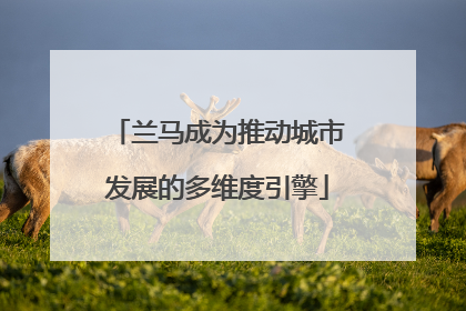 兰马成为推动城市发展的多维度引擎