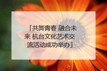 共舞青春 融合未来 杭台文化艺术交流活动成功举办