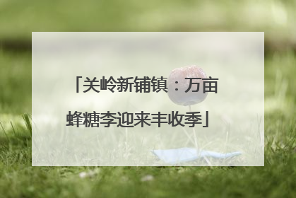关岭新铺镇：万亩蜂糖李迎来丰收季