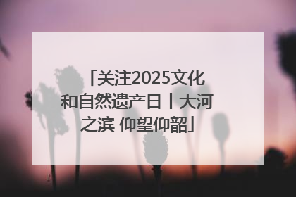 关注2025文化和自然遗产日丨大河之滨 仰望仰韶