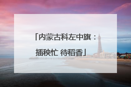 内蒙古科左中旗：插秧忙 待稻香