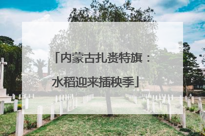 内蒙古扎赉特旗：水稻迎来插秧季