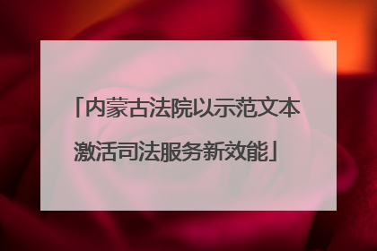 内蒙古法院以示范文本激活司法服务新效能