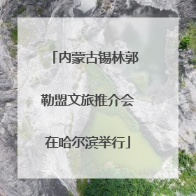 内蒙古锡林郭勒盟文旅推介会在哈尔滨举行