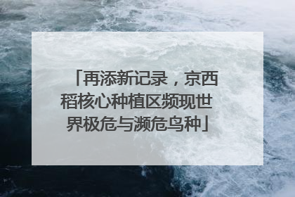 再添新记录，京西稻核心种植区频现世界极危与濒危鸟种