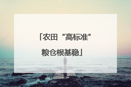 农田“高标准” 粮仓根基稳