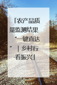 农产品质量监测结果“一键直达”｜乡村行·看振兴