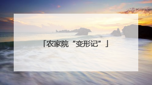 农家院“变形记”