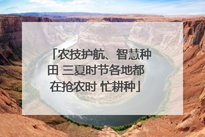 农技护航、智慧种田 三夏时节各地都在抢农时 忙耕种