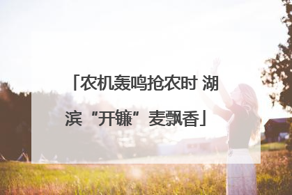 农机轰鸣抢农时 湖滨“开镰”麦飘香