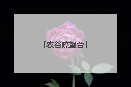 农谷瞭望台