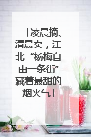 凌晨摘、清晨卖，江北“杨梅自由一条街”藏着最甜的烟火气