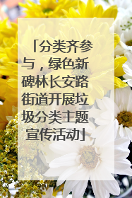 分类齐参与，绿色新碑林长安路街道开展垃圾分类主题宣传活动