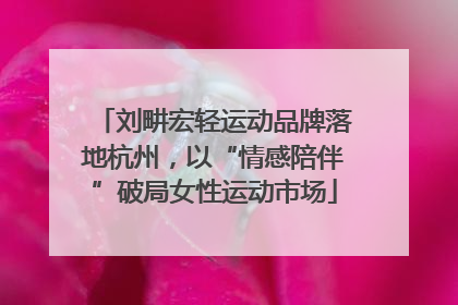 刘畊宏轻运动品牌落地杭州，以“情感陪伴”破局女性运动市场
