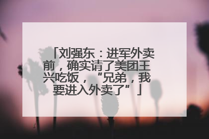 刘强东：进军外卖前，确实请了美团王兴吃饭，“兄弟，我要进入外卖了”