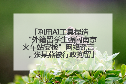 利用AI工具捏造 “外籍留学生强闯南京火车站安检”网络谣言，张某燕被行政拘留