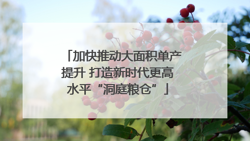 加快推动大面积单产提升 打造新时代更高水平“洞庭粮仓”
