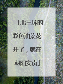 北三环的彩色油菜花开了，就在朝阳安贞