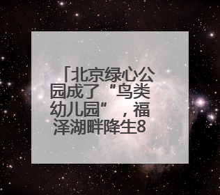 北京绿心公园成了“鸟类幼儿园”，福泽湖畔降生8只小鸳鸯