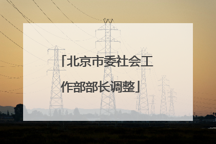 北京市委社会工作部部长调整